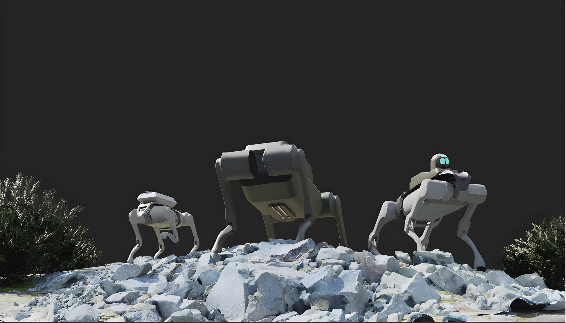 Quadruped Robot in field